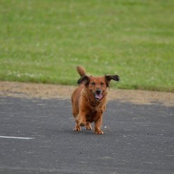 2013 Suche 29062013 Michal